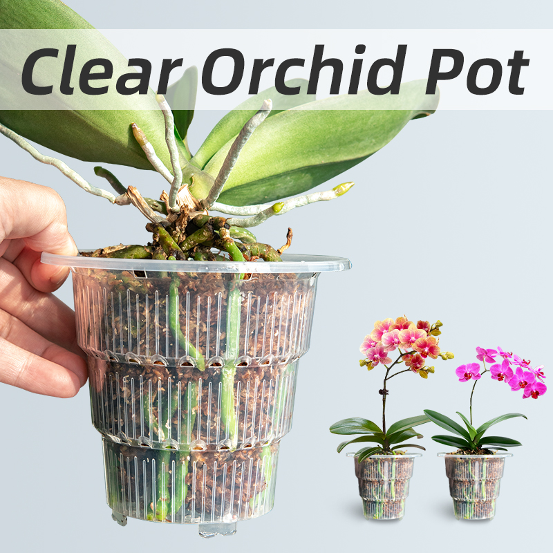 Desk Setup Plant - Meshpot macetas de orquídeas de plástico