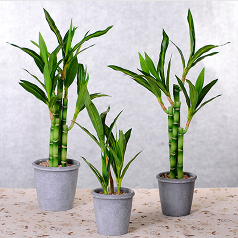 Nueva Planta Artificial de Bam - Desk Setup Plant reseña y precio