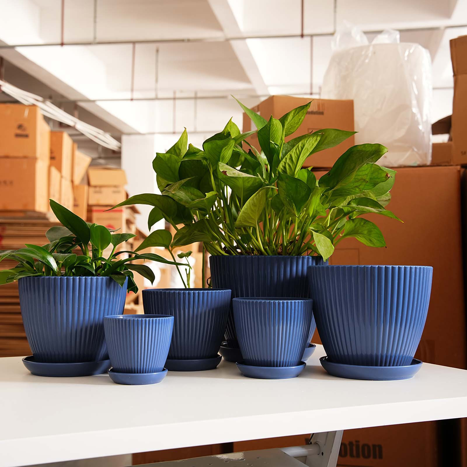 Maceta de Plástico Grueso con  - Desk Setup Plant reseña y precio