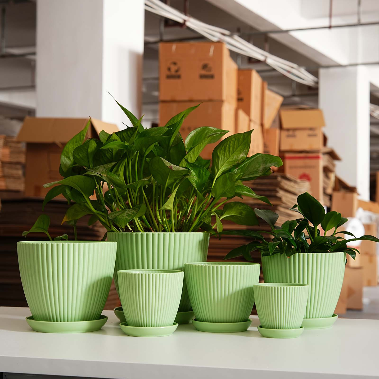 Maceta de Plástico Grueso con  - Desk Setup Plant reseña y precio