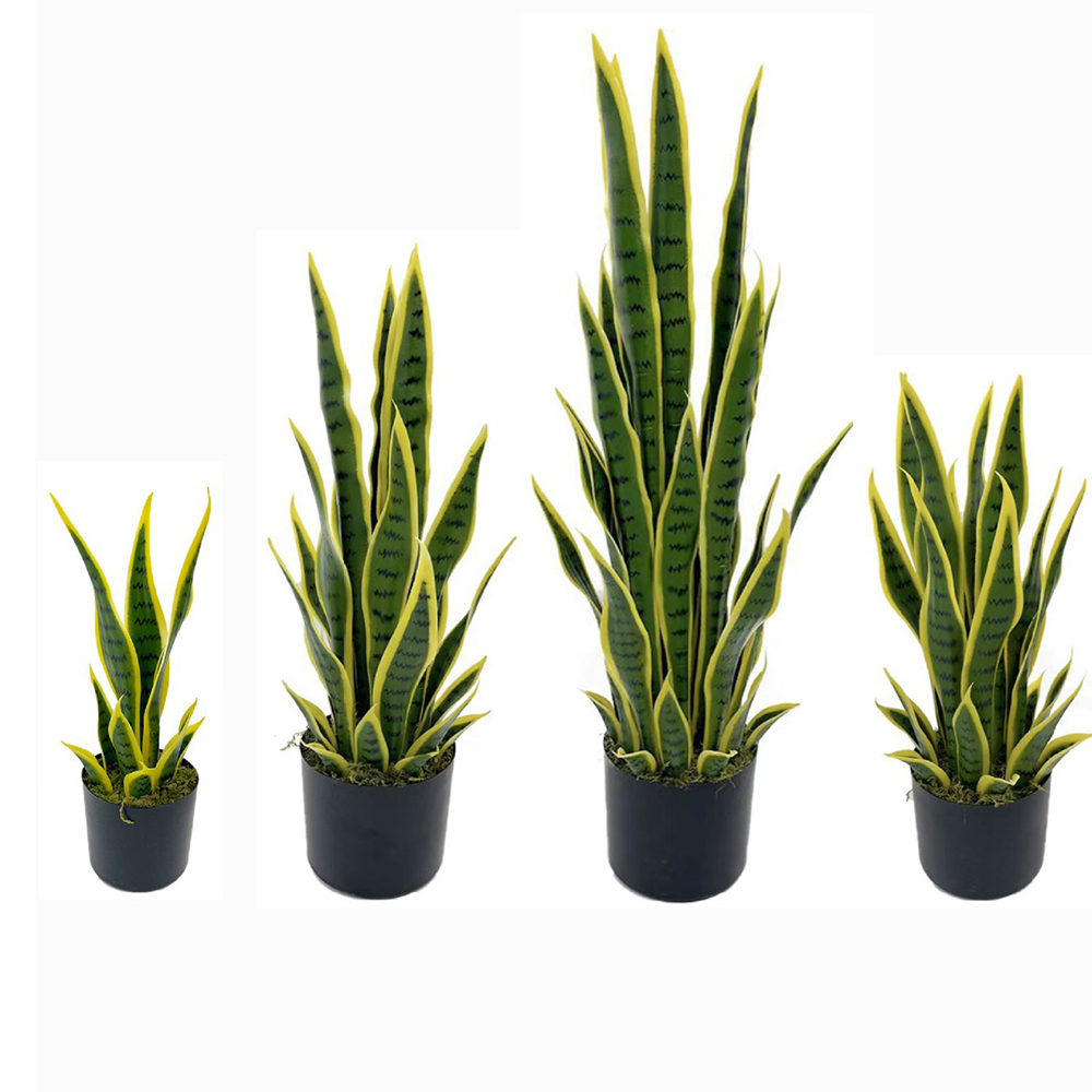 Planta de Sansevieria Artifici - Desk Setup Plant reseña y precio