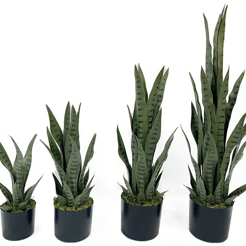 Planta de Sansevieria Artifici - Desk Setup Plant reseña y precio