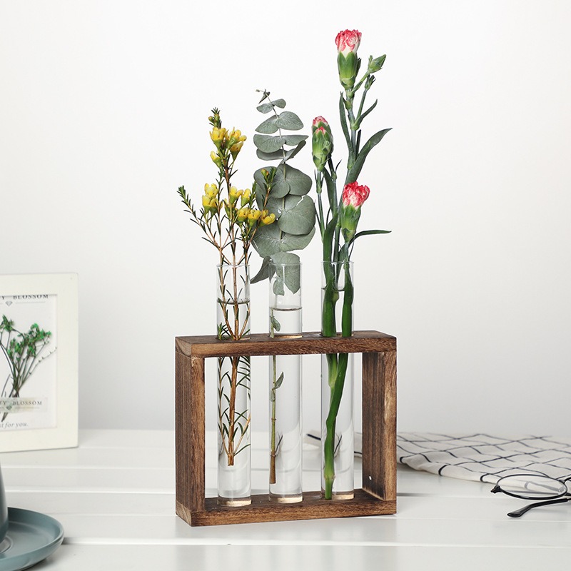 Macetero hidropónico de vidrio - Desk Setup Plant reseña y precio